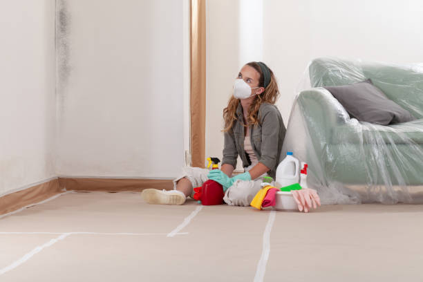 Reliable Mold Removal contractor in Glen Burnie, MD by WQB Mold Removal